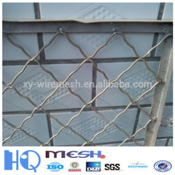 beautiful grid wire mesh(manufacturer)